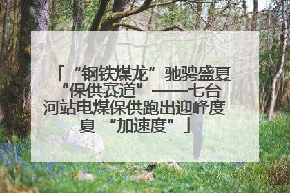 “钢铁煤龙”驰骋盛夏 “保供赛道”——七台河站电煤保供跑出迎峰度夏 “加速度”