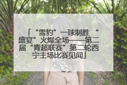 “雪豹”一球制胜 “盛宴”火爆全场——第二届“青超联赛”第二轮西宁主场比赛见闻