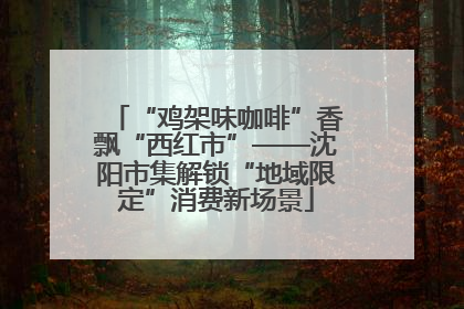 “鸡架味咖啡”香飘“西红市”——沈阳市集解锁“地域限定”消费新场景