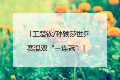 王楚钦/孙颖莎世乒赛混双“三连冠”
