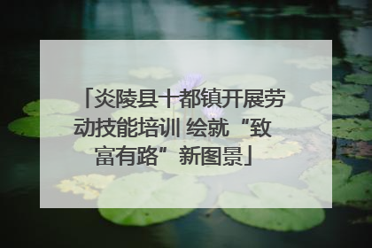 炎陵县十都镇开展劳动技能培训 绘就“致富有路”新图景
