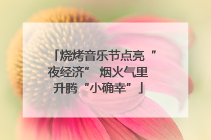 烧烤音乐节点亮“夜经济” 烟火气里升腾“小确幸”