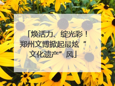 焕活力、绽光彩！郑州文博掀起最炫“文化遗产”风