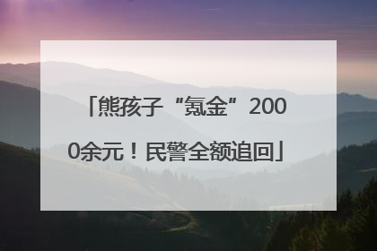 熊孩子“氪金”2000余元！民警全额追回