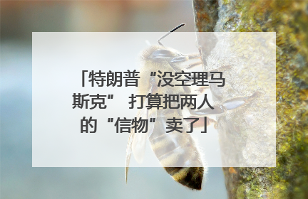 特朗普“没空理马斯克” 打算把两人的“信物”卖了
