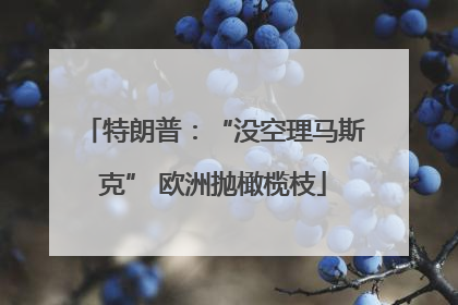 特朗普：“没空理马斯克” 欧洲抛橄榄枝