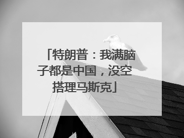 特朗普：我满脑子都是中国，没空搭理马斯克