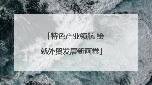 特色产业领航 绘就外贸发展新画卷