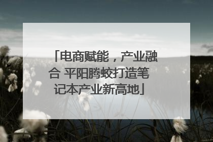 电商赋能，产业融合 平阳腾蛟打造笔记本产业新高地