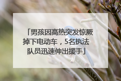 男孩因高热突发惊厥掉下电动车，5名执法队员迅速伸出援手