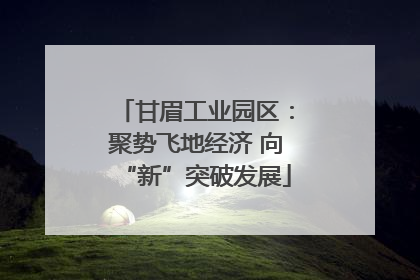 甘眉工业园区：聚势飞地经济 向“新”突破发展