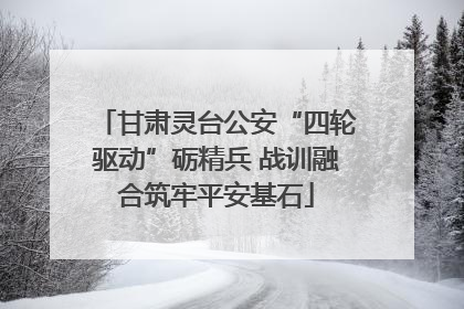 甘肃灵台公安“四轮驱动”砺精兵 战训融合筑牢平安基石