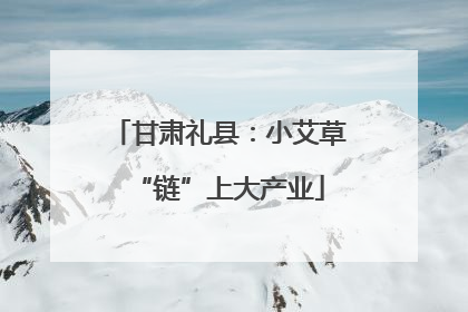 甘肃礼县：小艾草“链”上大产业