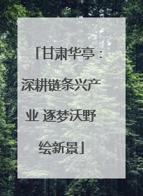 甘肃华亭：深耕链条兴产业 逐梦沃野绘新景