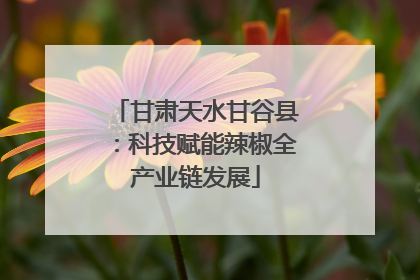 甘肃天水甘谷县：科技赋能辣椒全产业链发展