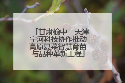 甘肃榆中—天津宁河科技协作推动高原夏菜智慧育苗与品种革新工程