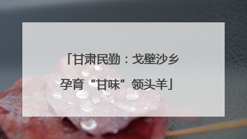 甘肃民勤：戈壁沙乡孕育“甘味”领头羊