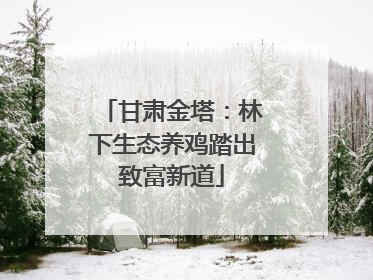 甘肃金塔：林下生态养鸡踏出致富新道