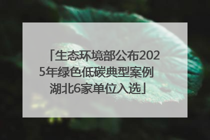 生态环境部公布2025年绿色低碳典型案例 湖北6家单位入选
