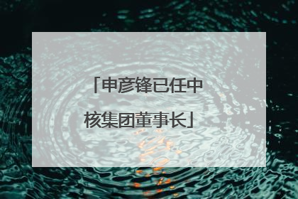 申彦锋已任中核集团董事长