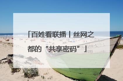 百姓看联播丨丝网之都的“共享密码”