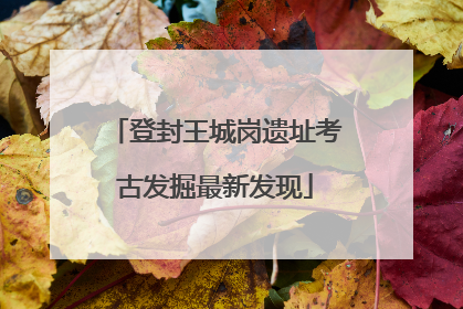 登封王城岗遗址考古发掘最新发现