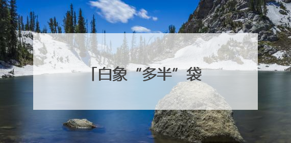 白象“多半”袋面上热搜！商标文字游戏何时休？