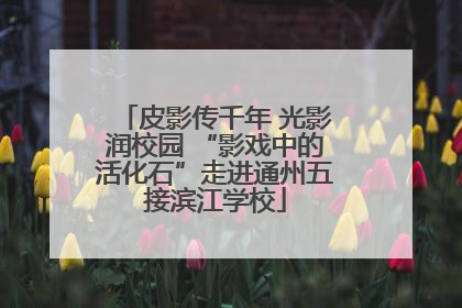 皮影传千年 光影润校园 “影戏中的活化石”走进通州五接滨江学校