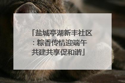 盐城亭湖新丰社区：粽香传情迎端午 共建共享促和谐