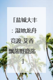 盐城大丰：湿地龙舟竞渡 艾香飘荡野鹿荡