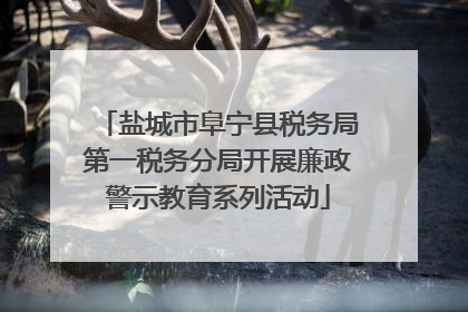 盐城市阜宁县税务局第一税务分局开展廉政警示教育系列活动