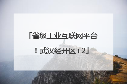 省级工业互联网平台！武汉经开区+2