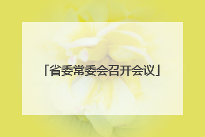 省委常委会召开会议