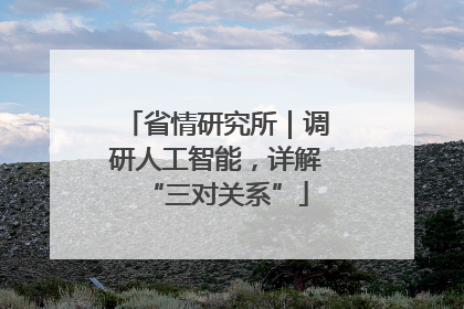 省情研究所｜调研人工智能，详解“三对关系”