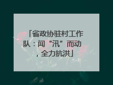 省政协驻村工作队：闻“汛”而动，全力抗洪