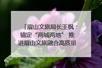 眉山文旅局长王枫：锚定“两城两地” 推进眉山文旅融合高质量发展｜文旅局长说