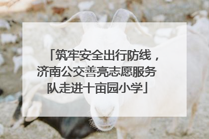 筑牢安全出行防线，济南公交善亮志愿服务队走进十亩园小学
