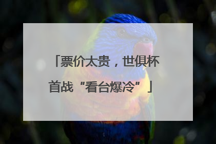 票价太贵，世俱杯首战“看台爆冷”