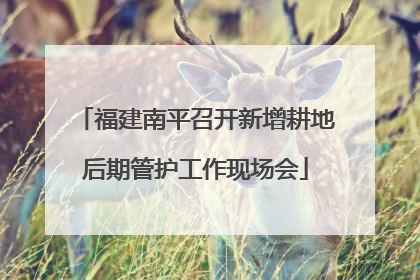 福建南平召开新增耕地后期管护工作现场会