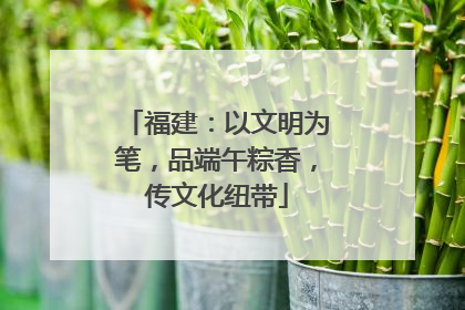 福建：以文明为笔，品端午粽香，传文化纽带