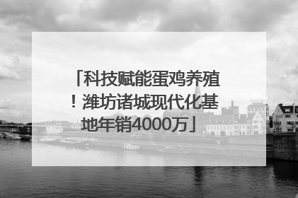 科技赋能蛋鸡养殖！潍坊诸城现代化基地年销4000万