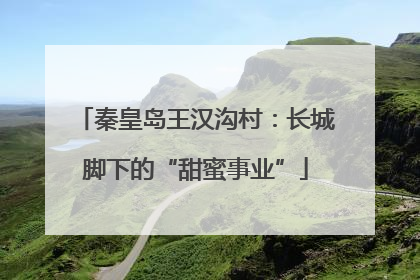 秦皇岛王汉沟村：长城脚下的“甜蜜事业”