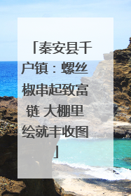 秦安县千户镇：螺丝椒串起致富链 大棚里绘就丰收图
