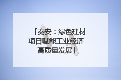 秦安：绿色建材项目赋能工业经济高质量发展