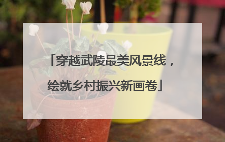 穿越武陵最美风景线，绘就乡村振兴新画卷