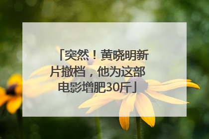 突然！黄晓明新片撤档，他为这部电影增肥30斤