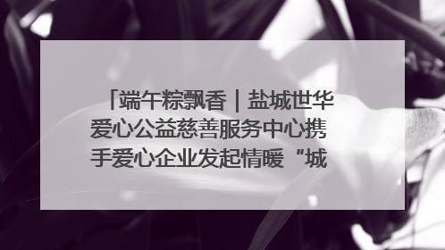 端午粽飘香｜盐城世华爱心公益慈善服务中心携手爱心企业发起情暖“城市守护者”慰问活动