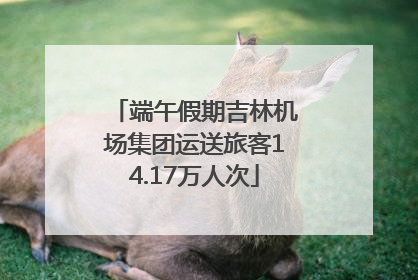 端午假期吉林机场集团运送旅客14.17万人次