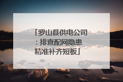 罗山县供电公司：排查配网隐患 精准补齐短板