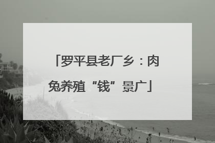 罗平县老厂乡：肉兔养殖“钱”景广